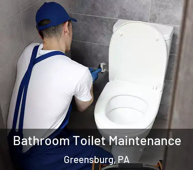  Bathroom Toilet Maintenance Greensburg, PA