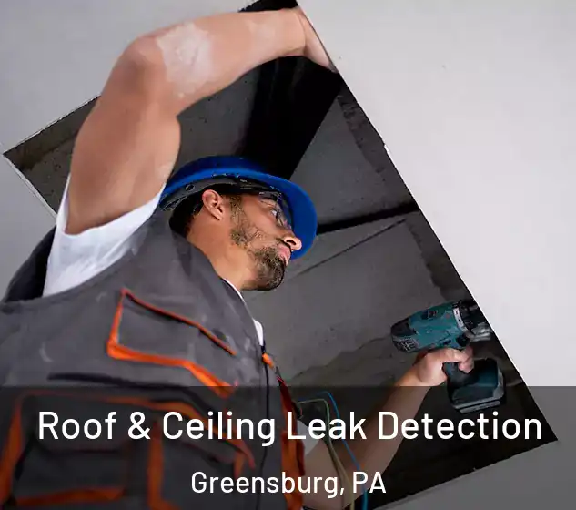  Roof & Ceiling Leak Detection Greensburg, PA