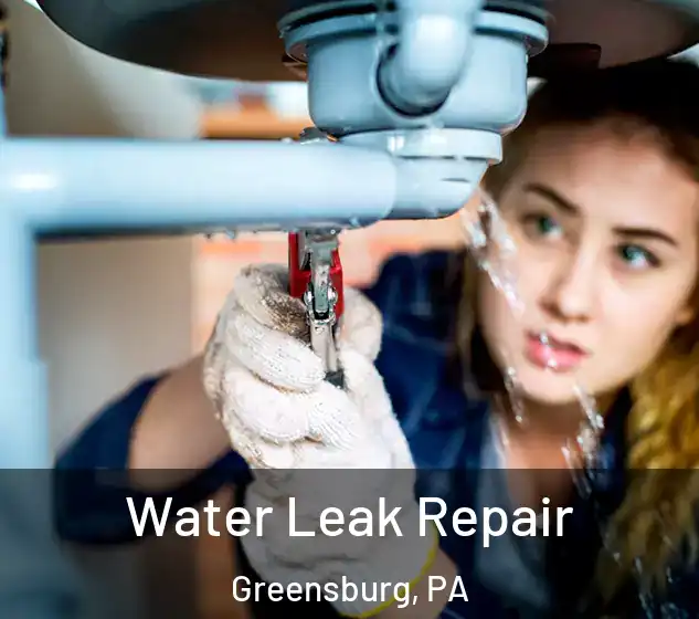  Water Leak Repair Greensburg, PA
