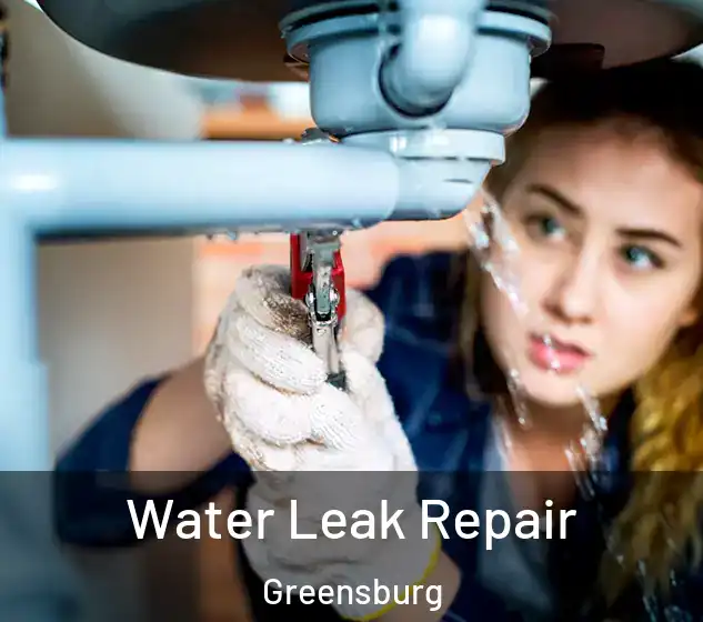  Water Leak Repair Greensburg